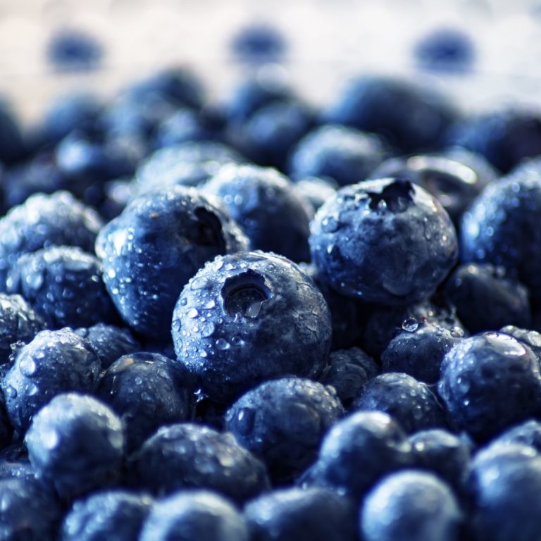 American Fruits - Blueberries