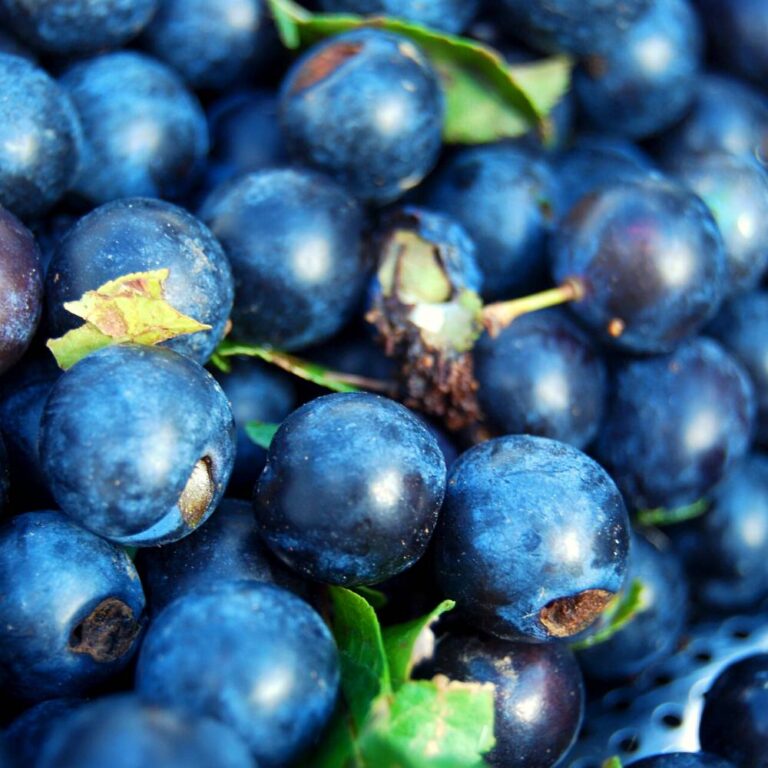 Frutas Con E