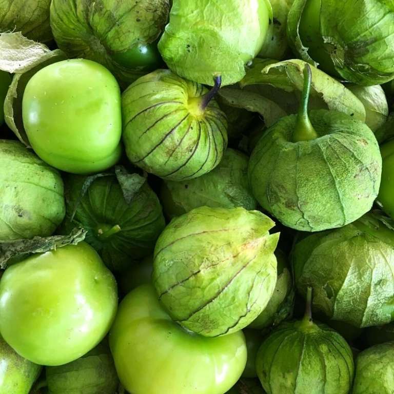 Popular Mexican Fruits