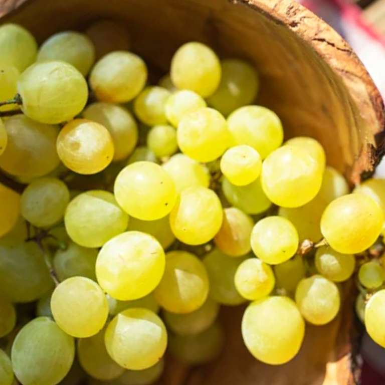 Mexican foods that start with U - Uvas